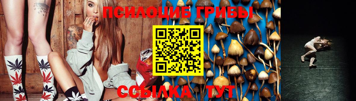 Псилоцибиновые грибы Psilocybine cubensis Гай