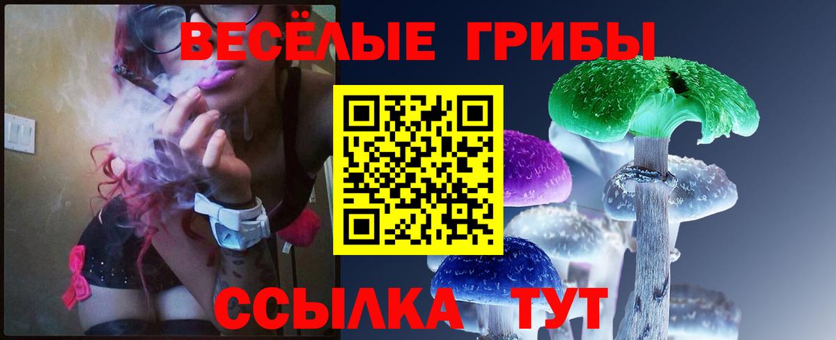 Псилоцибиновые грибы Cubensis  Вход с VPN  Галлюциногенные грибы ЛСД  Гай 